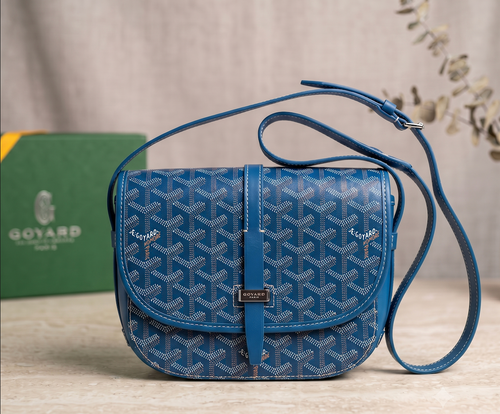 Carriel Goyard